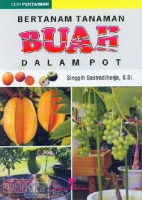 Image of bertanam tanaman buah dalam pot